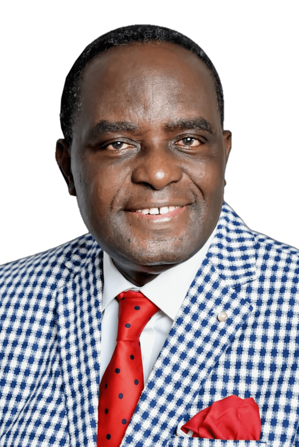 Peter A. Okebukola